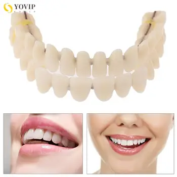 Rășină Dinți Falși Rășină Model Durabil De Proteze Dentare Material Dinți Modelul De Predare Dedicat Dintilor Fabricate Artificial